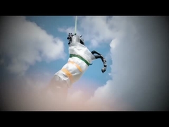 कांस्य मूर्तिकला