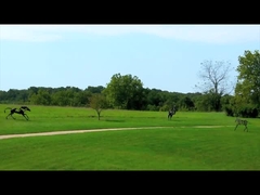 कांस्य मूर्तिकला